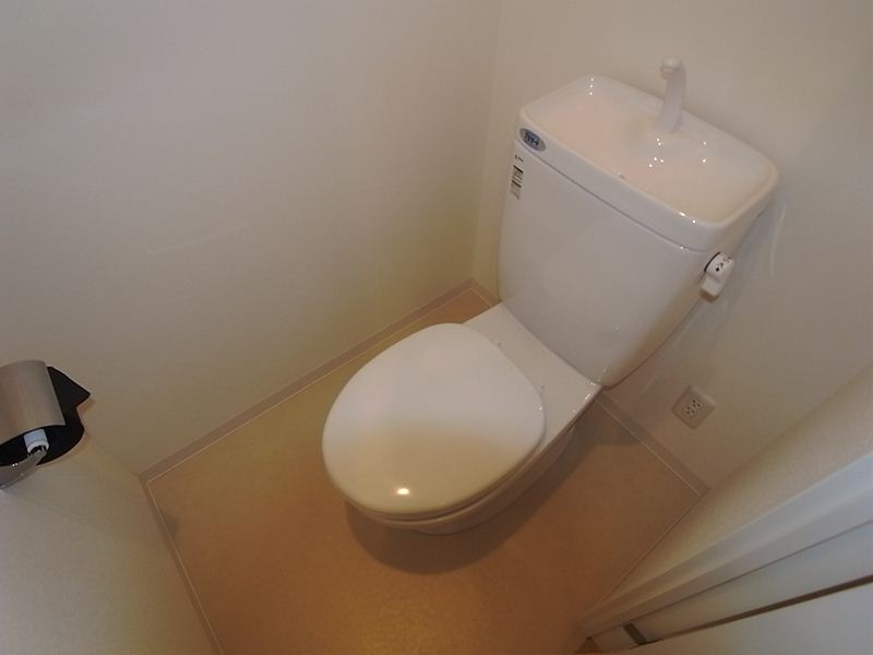 Toilet. Warm water washing toilet seat mounting possible