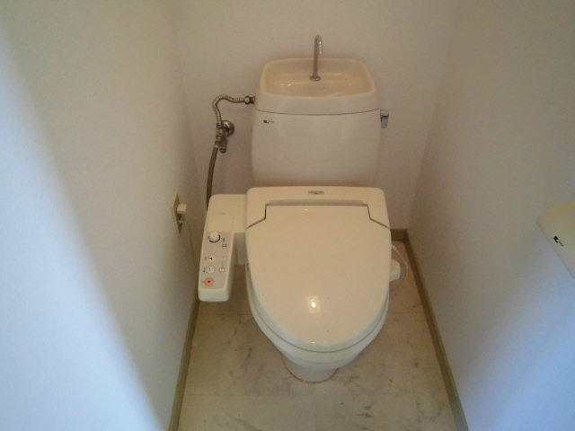 Toilet. Toilet