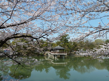 park. Tsurumai 1245m to the park (park)