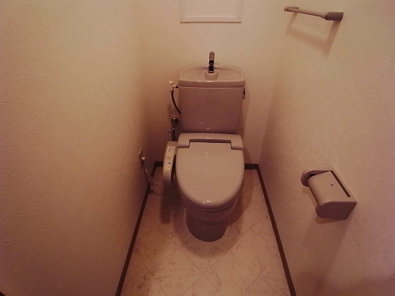 Toilet. With warm water washing toilet seat toilet