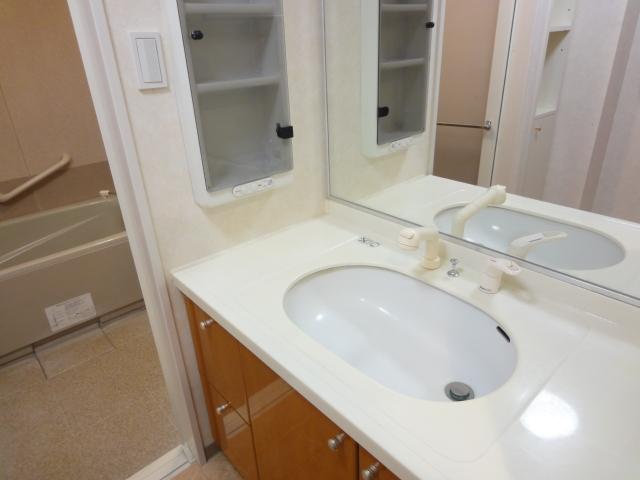 Wash basin, toilet. Medi down Sun vanity with a box (12 May 2013) Shooting