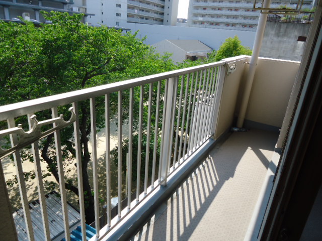 Balcony. Sunny south-facing veranda! Ventilation also GOOD!