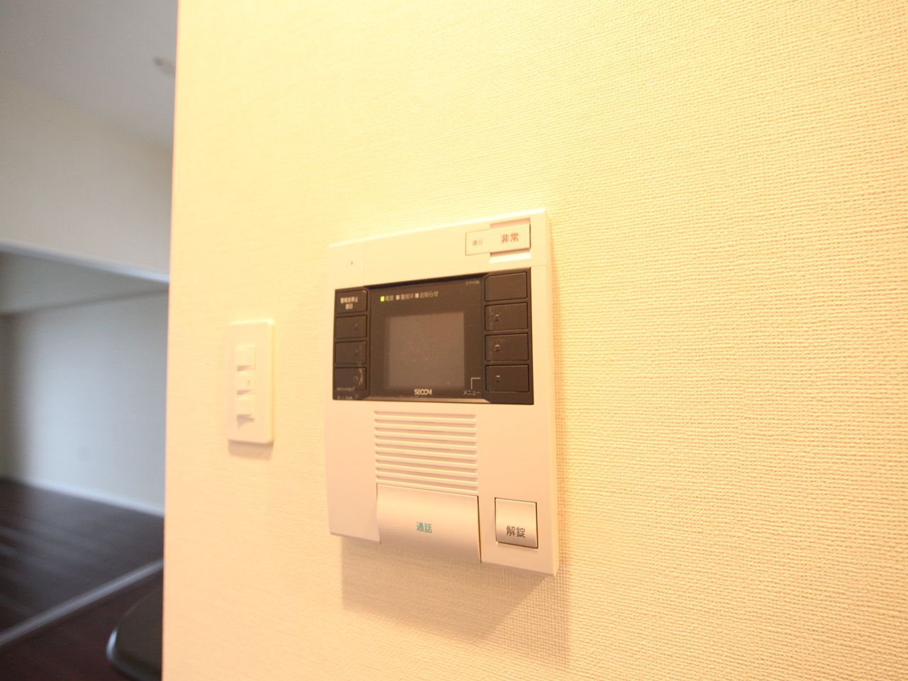 Security. Intercom with TV monitor