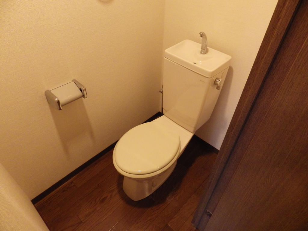 Toilet. Toilet space