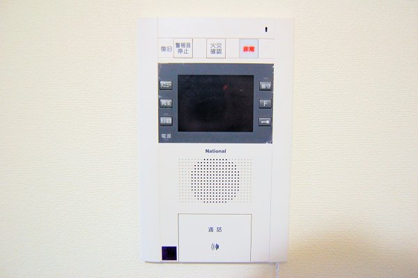 Security. Monitor with intercom