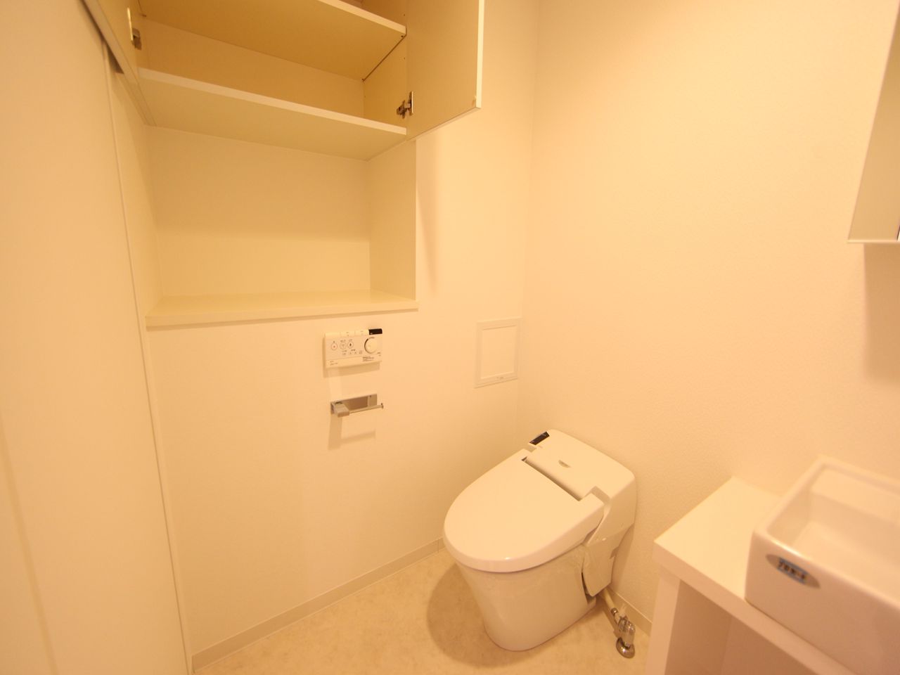 Toilet. Toilet with hot cleaning heating toilet seat With storage shelf