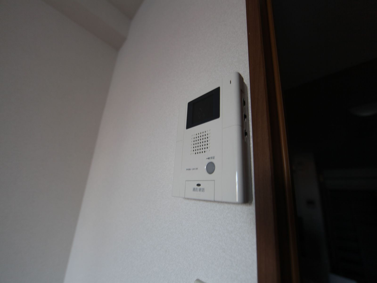 Security. Intercom with TV monitor