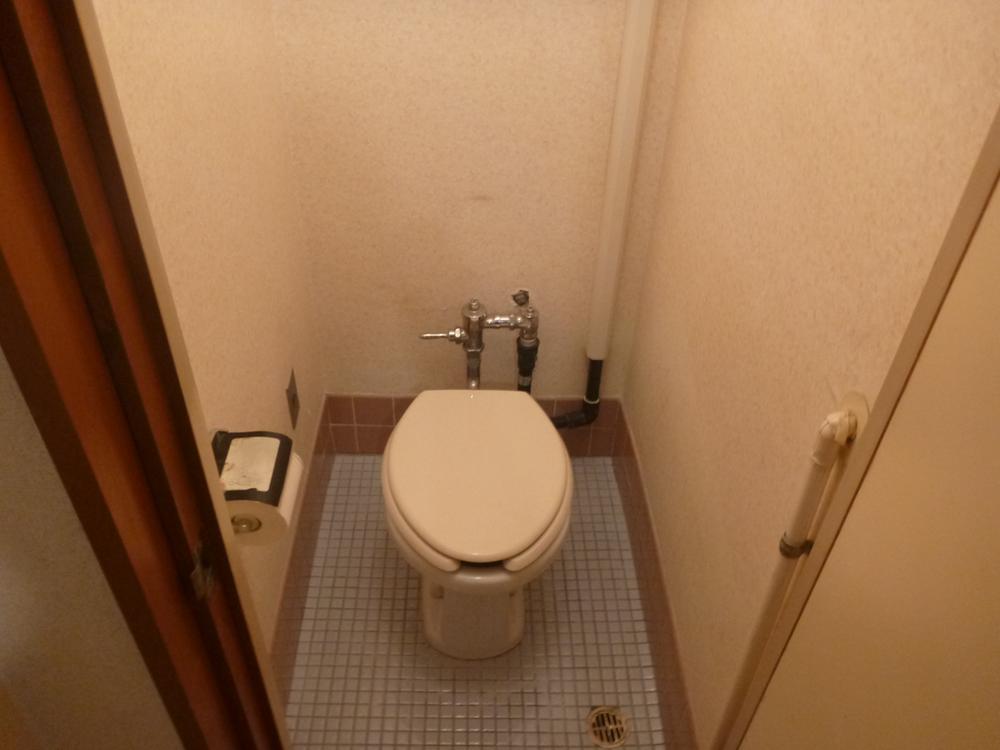 Toilet. Room (May 2013) Shooting