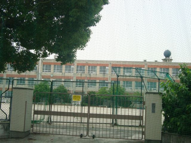 Primary school. 1200m until the Municipal platinum elementary school (elementary school)