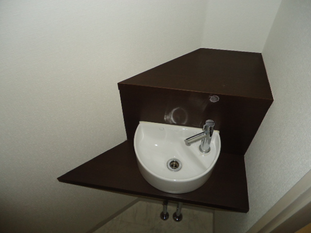 Toilet. Stylish wash basin