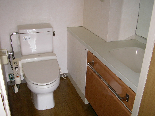 Washroom. Warm water washing toilet seat