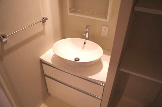 Washroom. Stylish independent basin