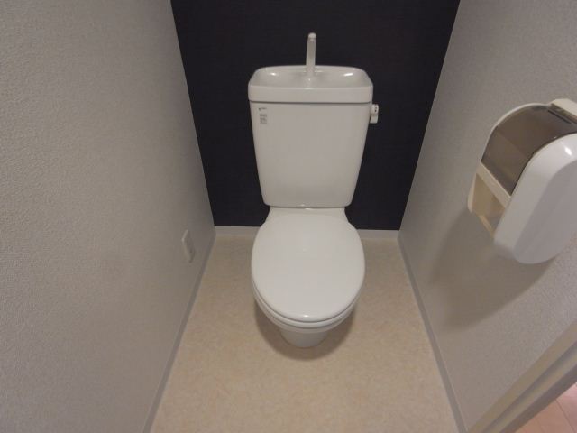 Toilet. Spacious toilet. 