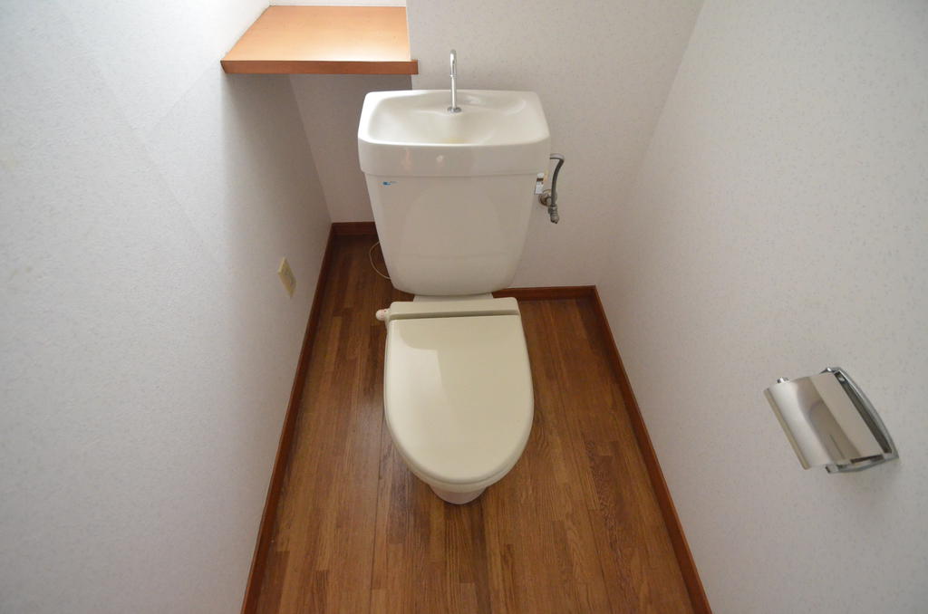 Toilet. Toilet