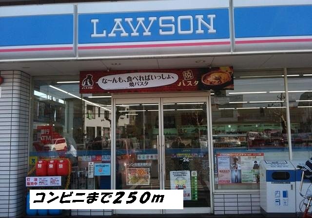 Convenience store. 250m until Lawson (convenience store)