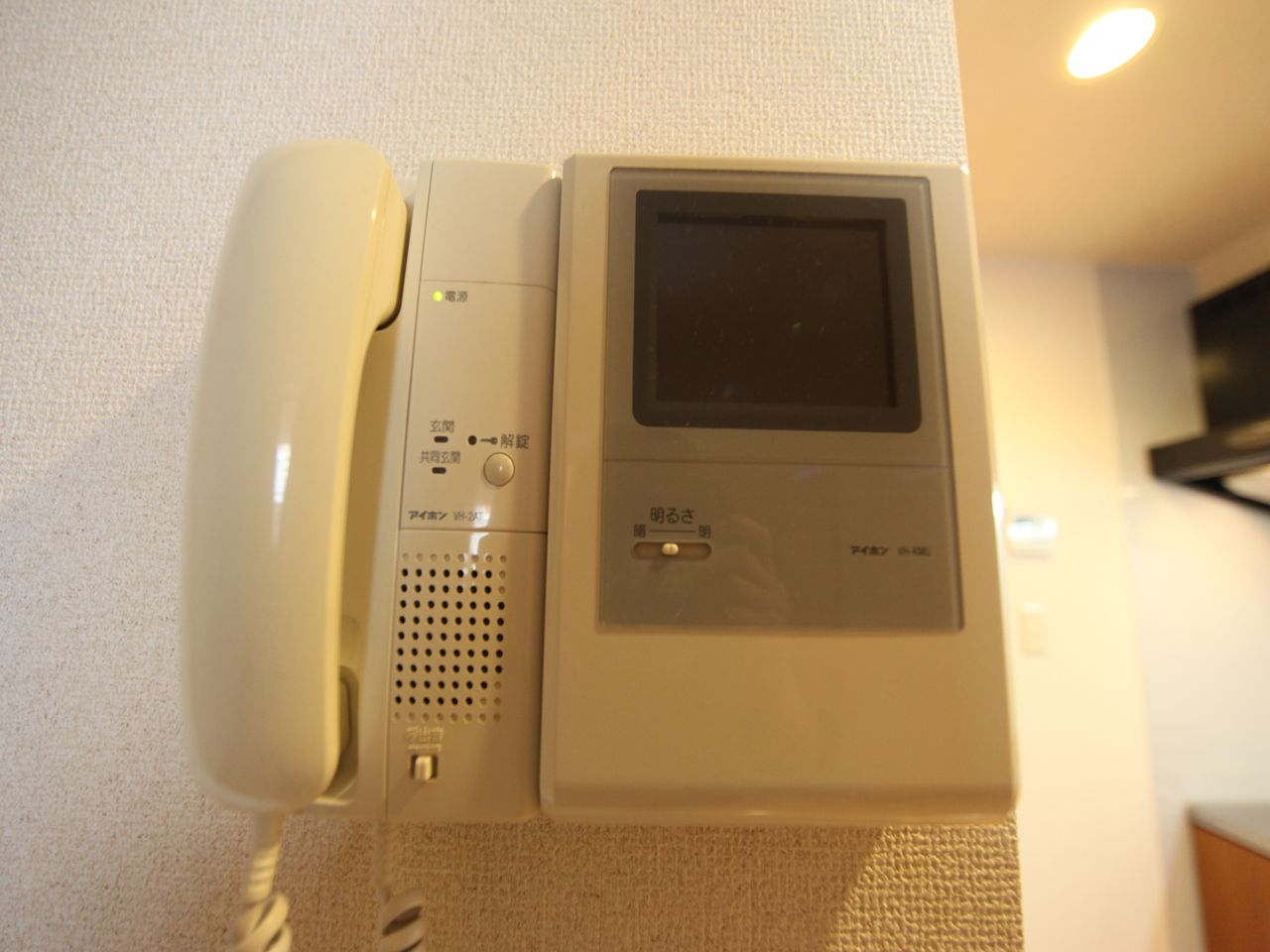 Security. Intercom with TV monitor