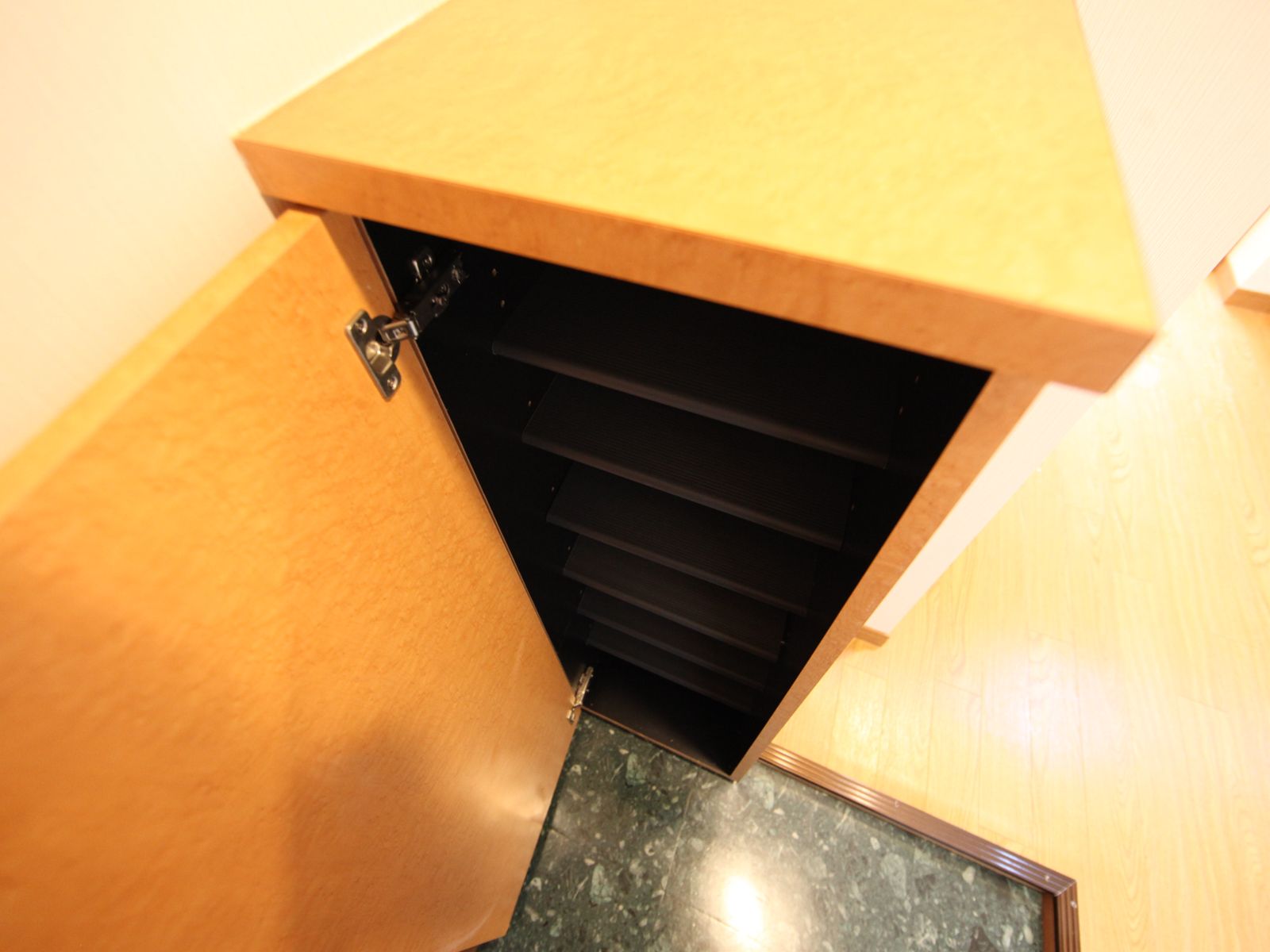 Entrance. Entrance Shoe box (storage rich have)