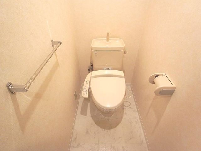 Toilet. Western-style toilet