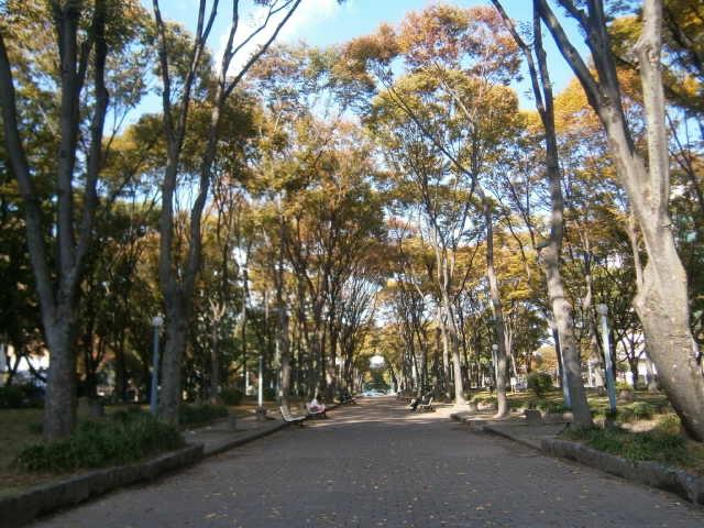 Other. To Hisaya Odori Park 570m (8 minutes walk)