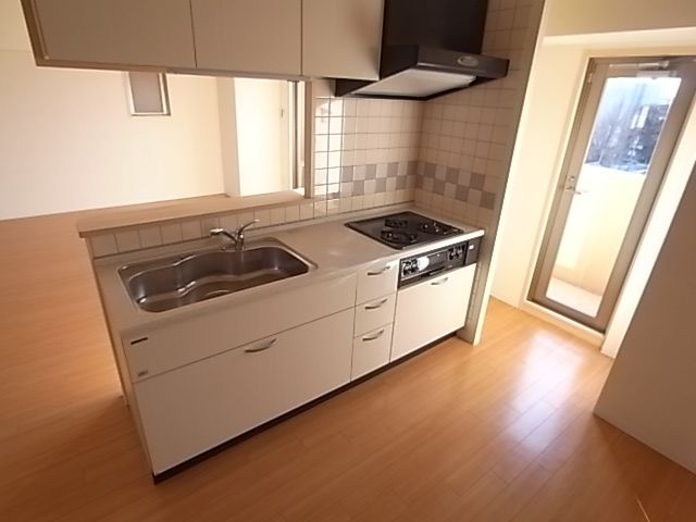 Kitchen. Bathing with a window