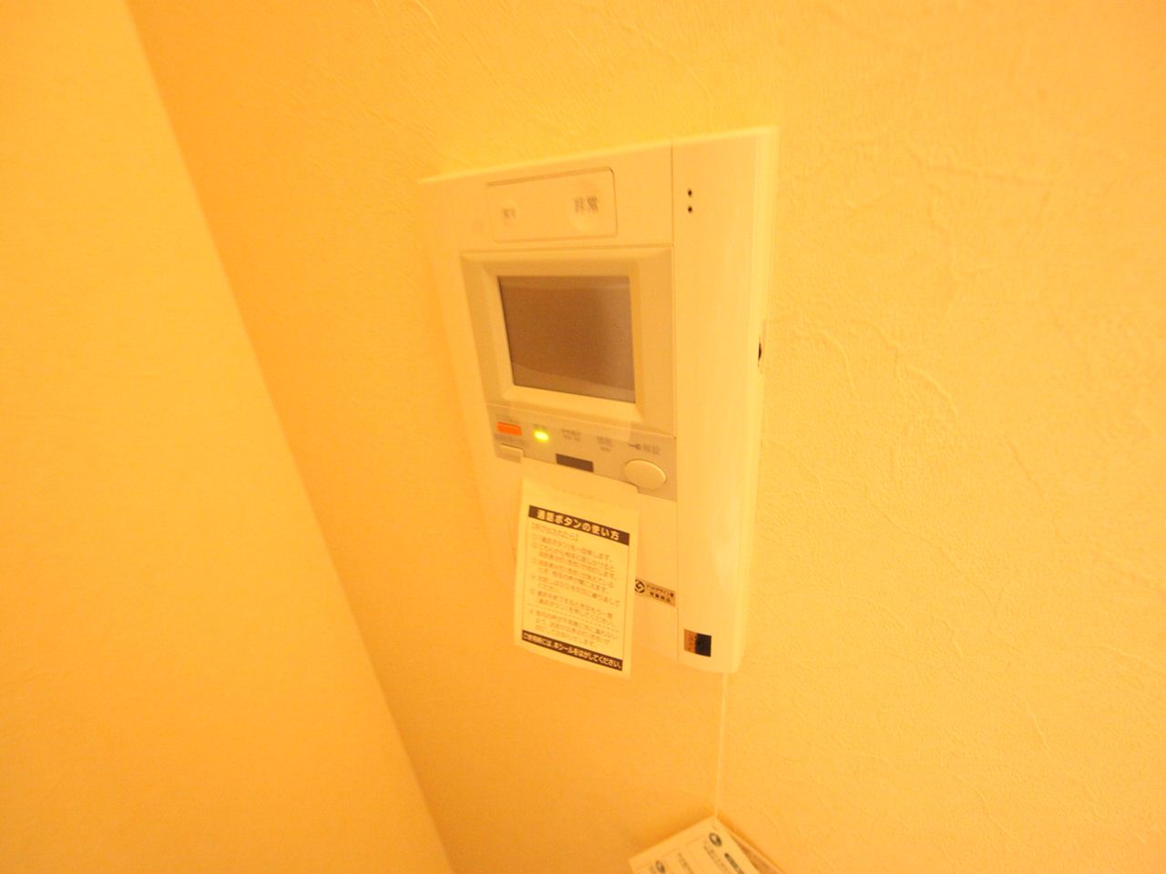 Security. Intercom with TV monitor