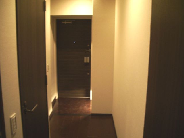 Other. Hallway and entrance