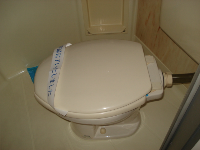 Toilet. Toilet