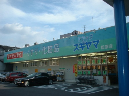 Dorakkusutoa. Sugiyamayakuhin 829m to drag Sugiyama Matsubara store (drugstore)