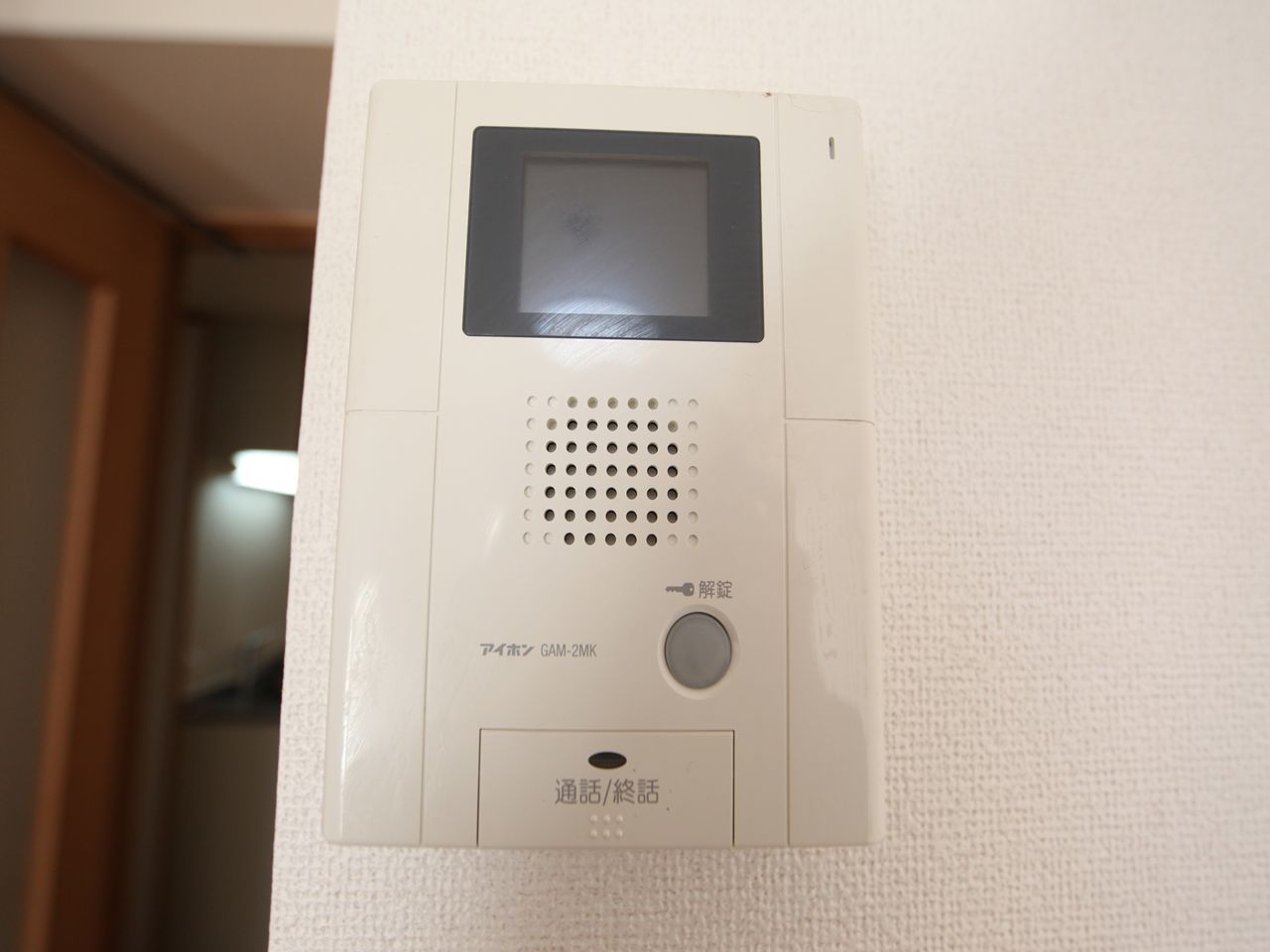 Security. Intercom with TV monitor