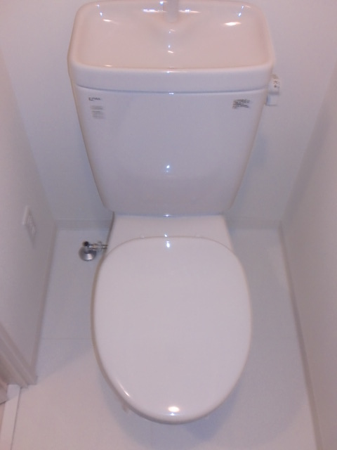 Toilet. Toilet space