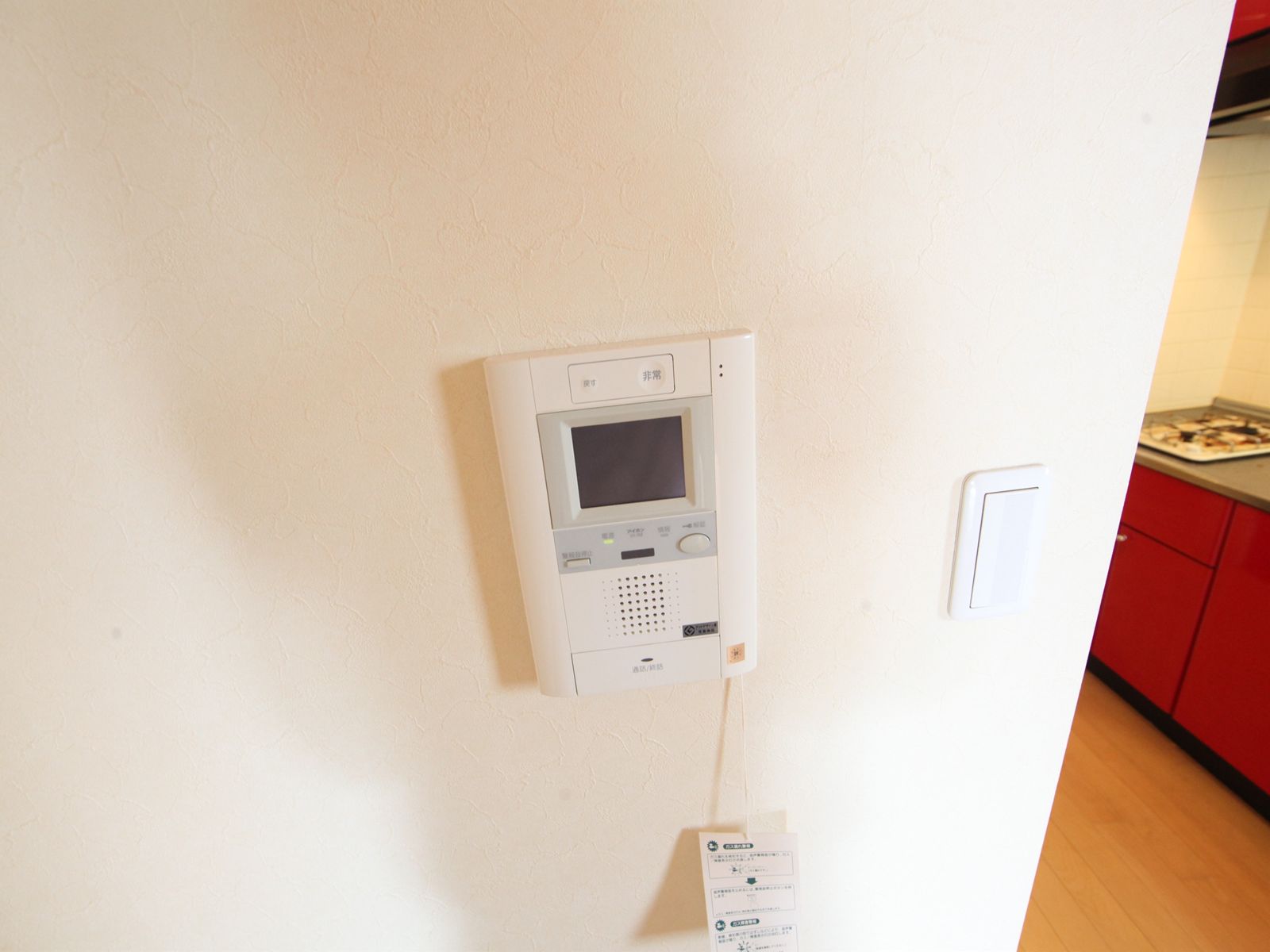 Security. Intercom with TV monitor