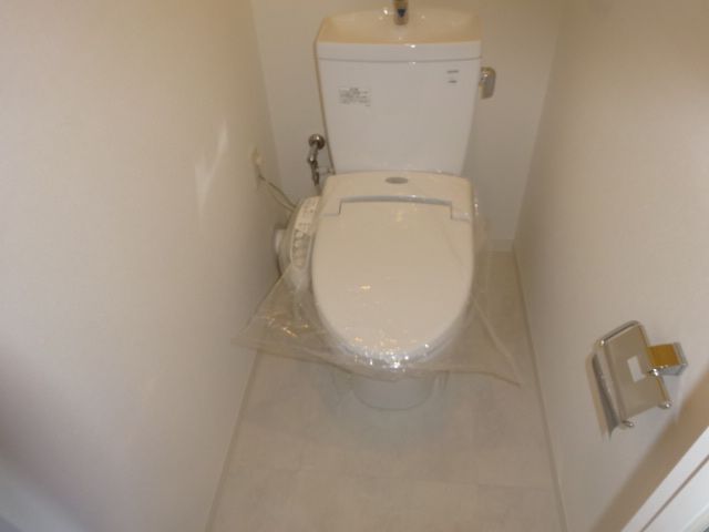Toilet. Since the housing with depth, It is a sister easy things.