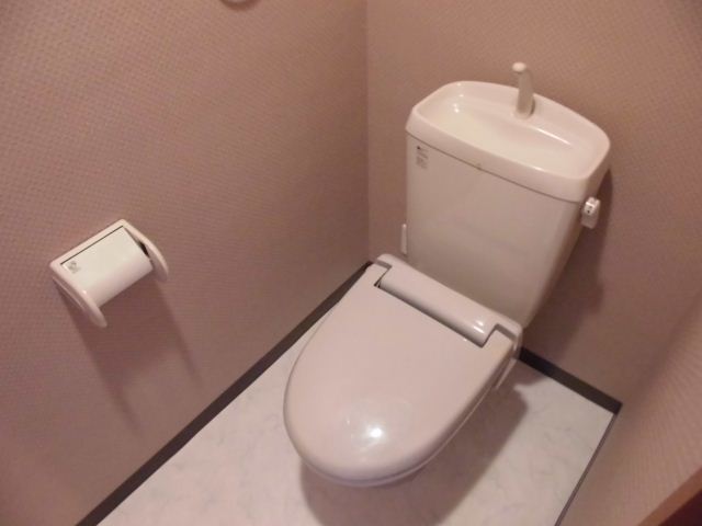 Toilet. Western-style toilet