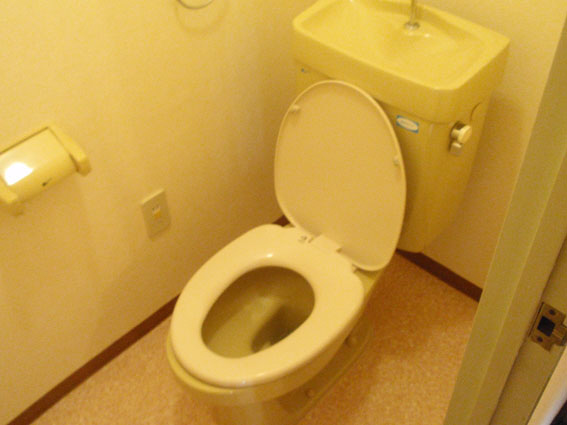 Toilet