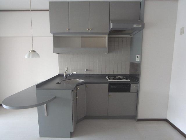 Kitchen. System kitchen of unusual L-shaped in rent