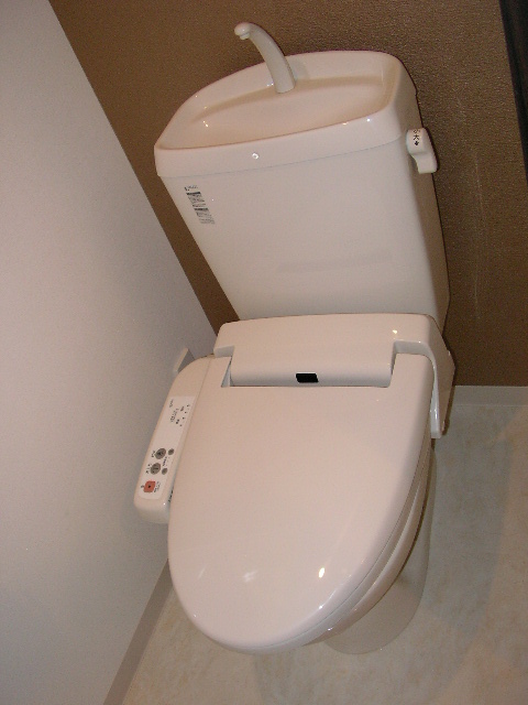 Toilet. Warm water washing toilet seat