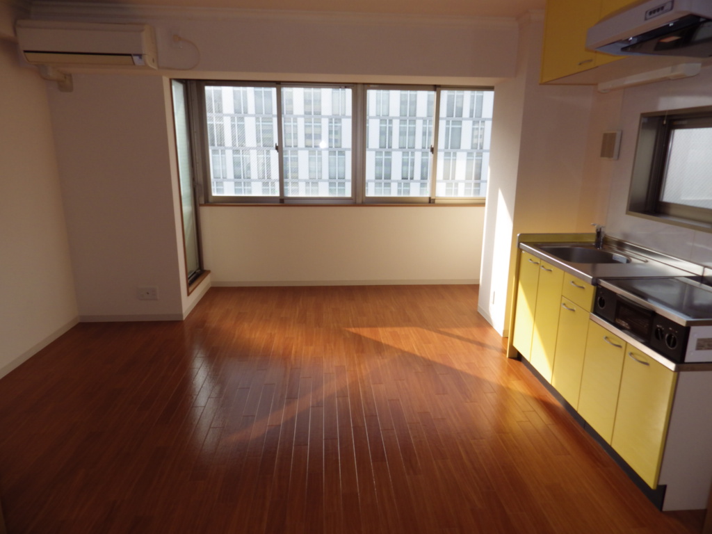 Living and room. Spacious kitchen