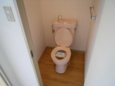 Toilet. Toilet