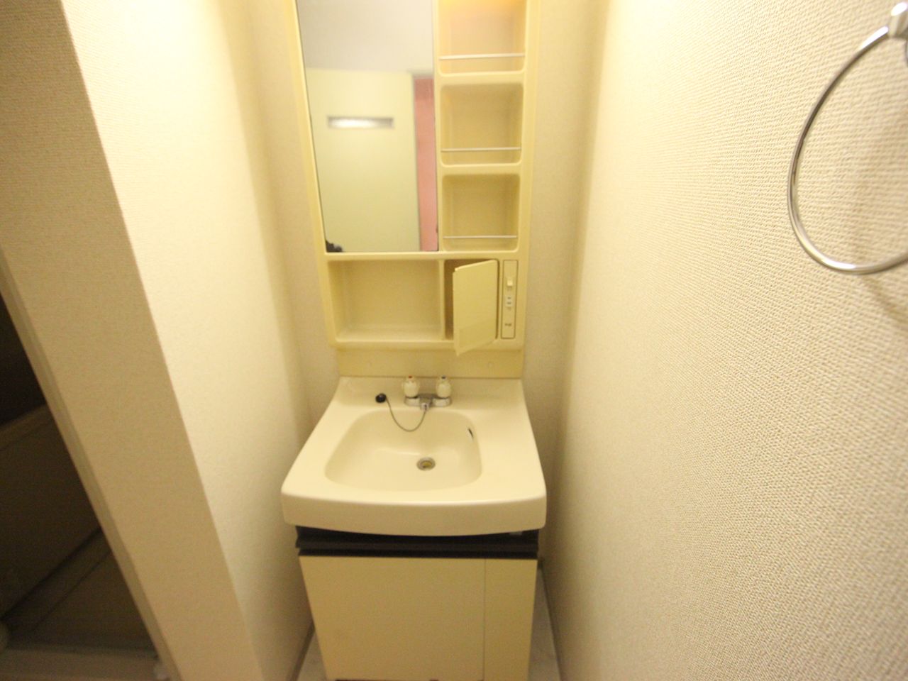 Washroom. Dressing room Independent wash basin