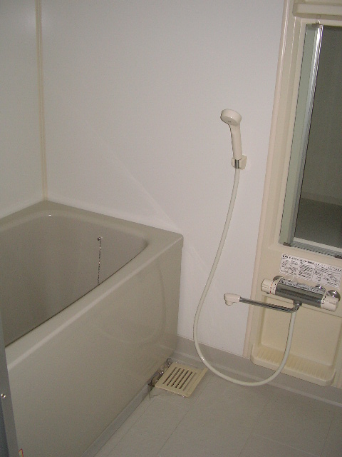 Bath. With bathroom dryer