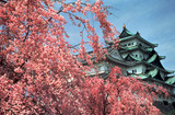 Other. Nagoya Castle