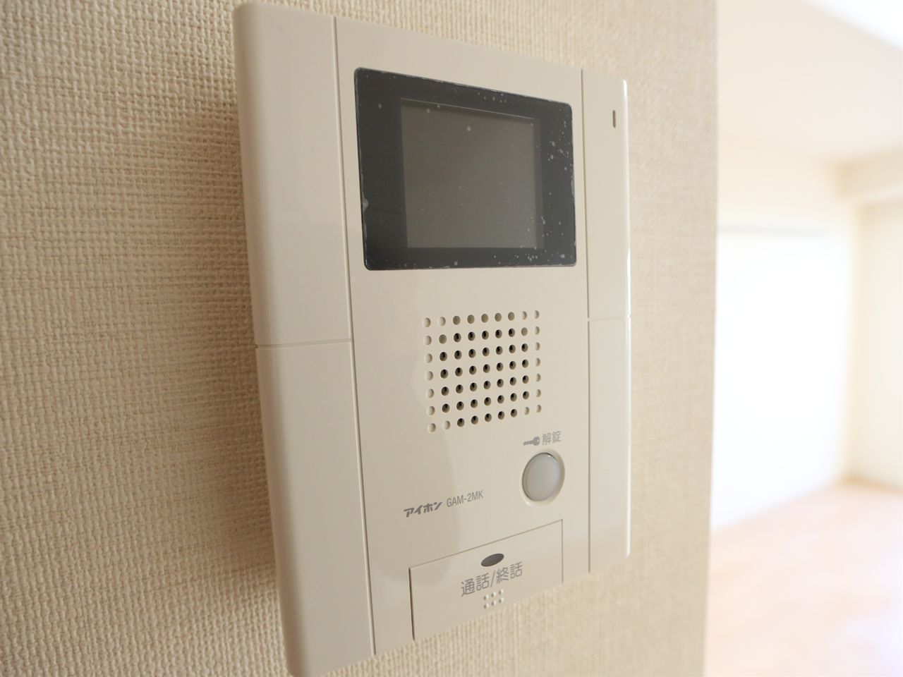 Security. Intercom with TV monitor