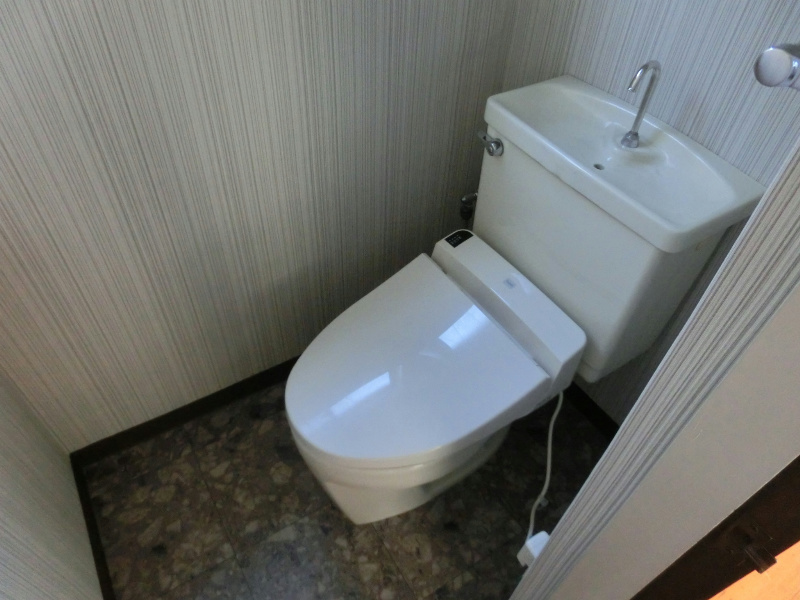 Toilet. Heating washing toilet seat