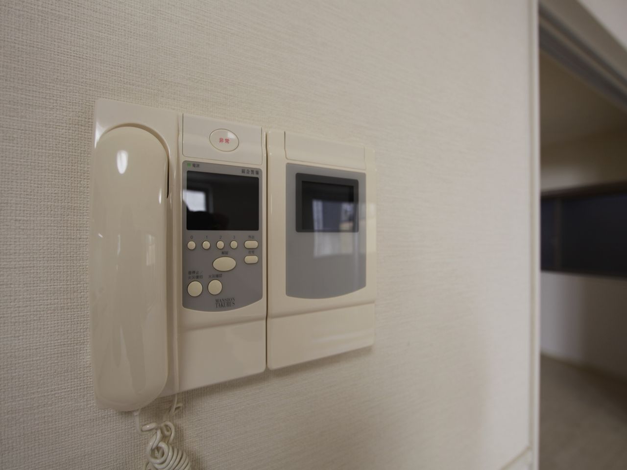 Security. Intercom with TV monitor