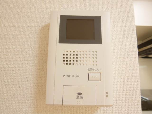 Security. TV interphone (photo image)