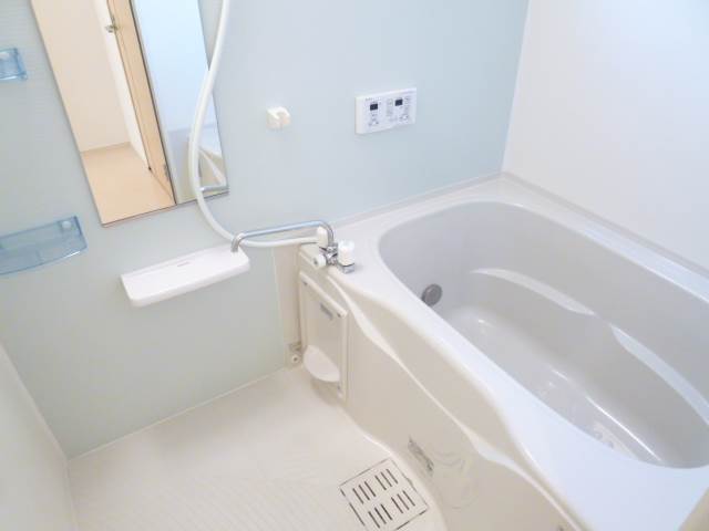 Bath. Multi-functional bathroom (photo image)