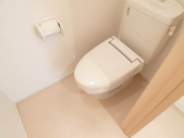 Toilet. Toilet (photo image)