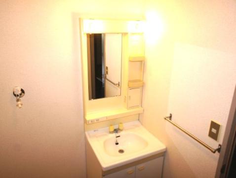 Washroom. Bathroom vanity