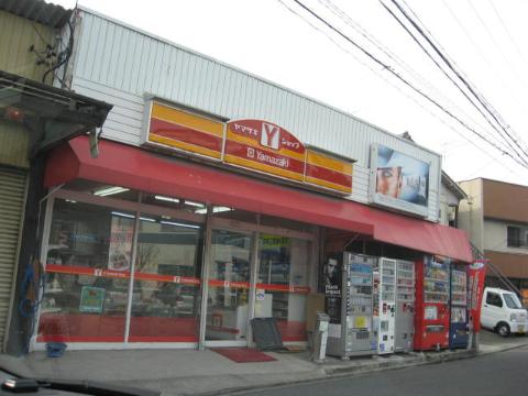 Other. 380m to a convenience store (Other)