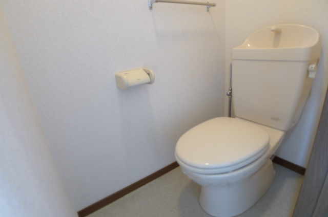 Toilet. Spacious washing Western Toilet ☆ 